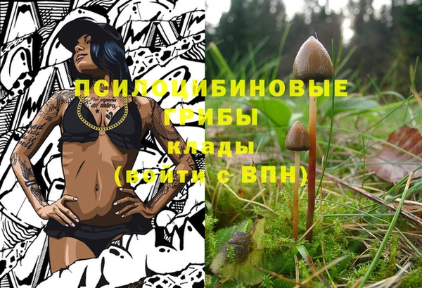 бутират Богданович
