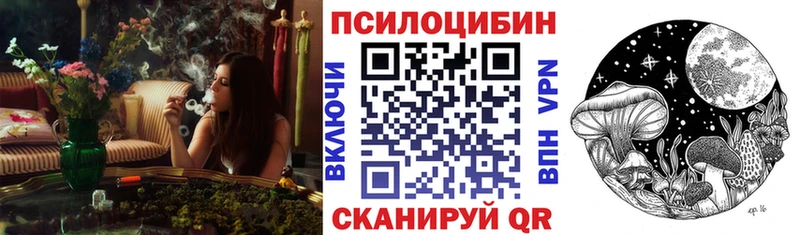 продажа наркотиков  Барабинск  Псилоцибиновые грибы Cubensis 